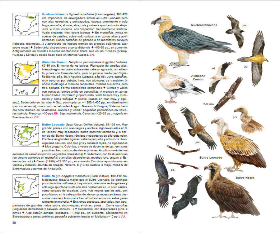 Pàgina de mostra Aves de España